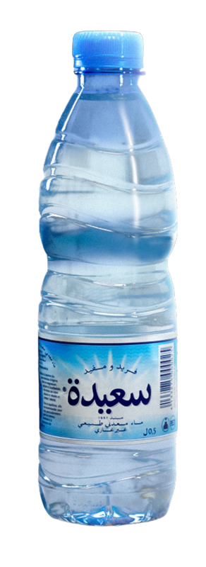 EAU PL SAIDA 0.5L