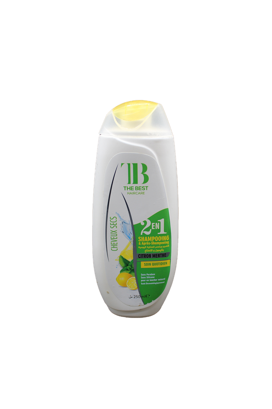 THE BEST SH 2EN1 ANTI PELL 250