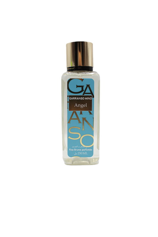 GARRANSO BRM ANGEL 250M
