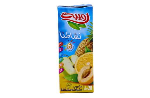 [DZ-00593] ROUIBA boisson au cocktail de fruits 20cl