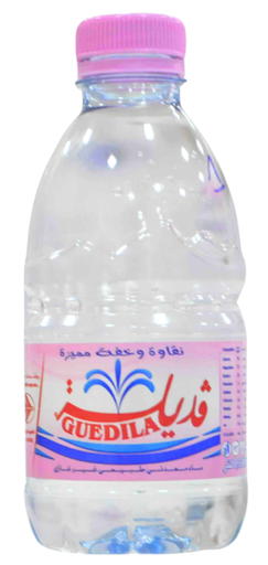 [DZ-00621] GUEDILA eau minerale  0,33L