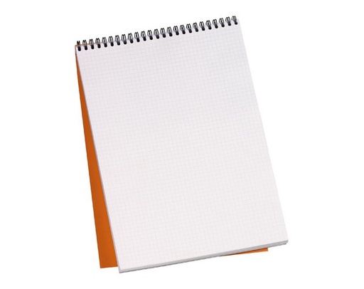[DZ-00769] Bloc notes ProNote A4